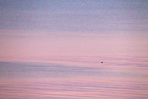 The Buoy. Jan '12.