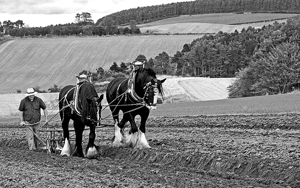 Heavy horse power. Oct. '14.