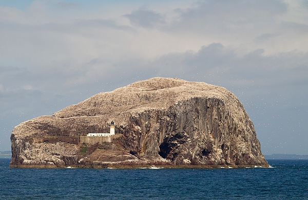 Bass Rock. Apr. '15.