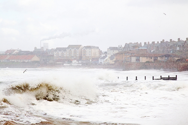 Stormy Dunbar 1. Mar '18.
