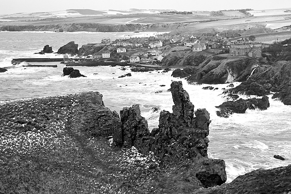 Stormy St.Abbs bw. Mar '18.