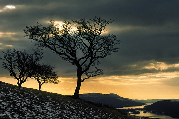 Overlooking Windermere.