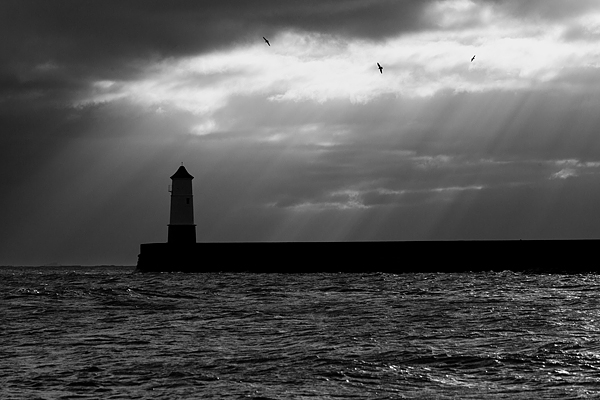 Berwick 'lighthouse' 2. Feb '20.