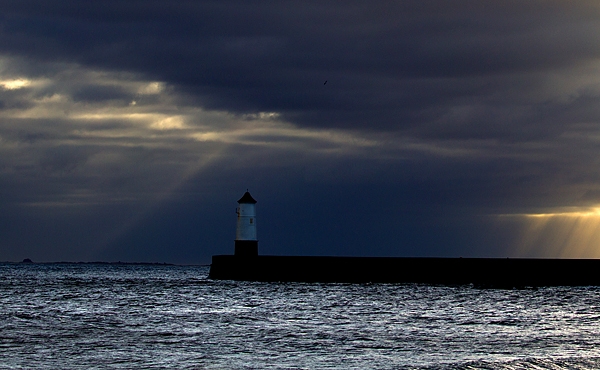 Berwick 'lighthouse' 1. Feb '20.