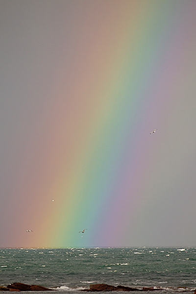 Rainbow over the sea.v. Nov. '20.