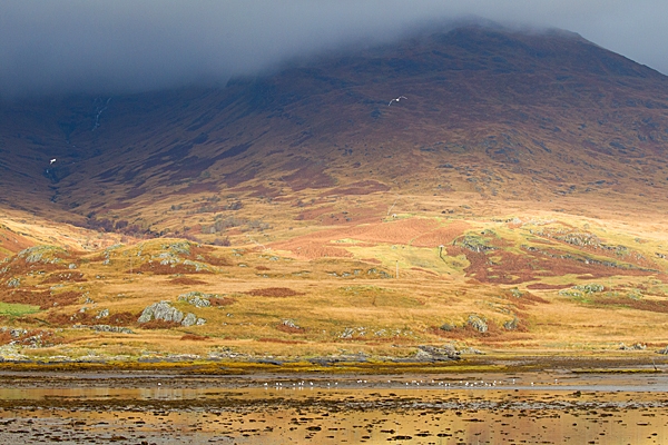 Loch Beg,Ben More. Oct. '22.