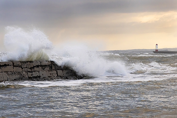 The Greens' and Berwick lighthouse. Nov. '25.