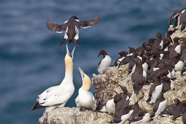 A bit close for comfort. May.'16.