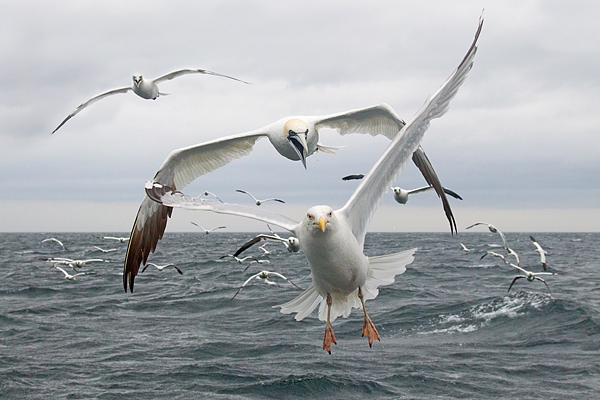 I'm outta here. July. '16.