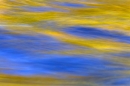 Riverweed Abstract. Sept. '11.