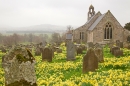 Ford church daffodils. Apr '18.