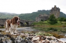 Beckham at Eilean Donan.