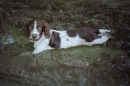 Beckham loved mud!