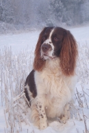 Beckham in the snow.