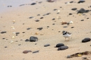 Ringed Plover on beach. Jun '10.