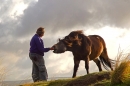 Exmoor Pony and the lady. Oct. '16.